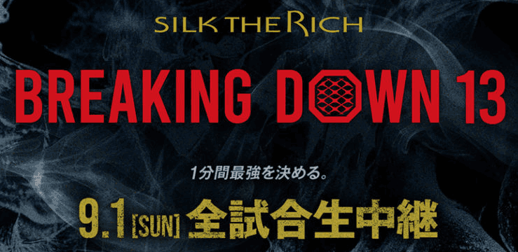 ブレイキングダウン13