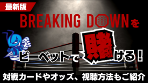 ブレイキングダウンをビーベットで賭ける！対戦カードやオッズ、視聴方法もご紹介